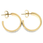 Louis Vuitton Nanogram Hoop Earrings Gold Black — view 4