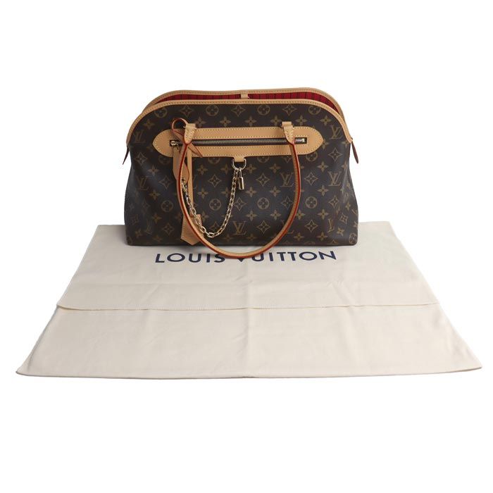 Louis Vuitton Evermore MM Tote Brown Purchased — view 7