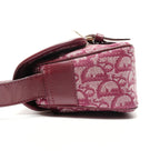 Dior Shoulder Bag Trotter Canvas Messenger — view 3