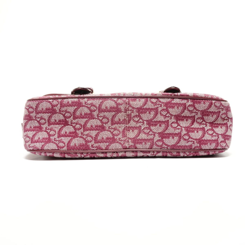 Dior Shoulder Bag Trotter Canvas Messenger — view 7