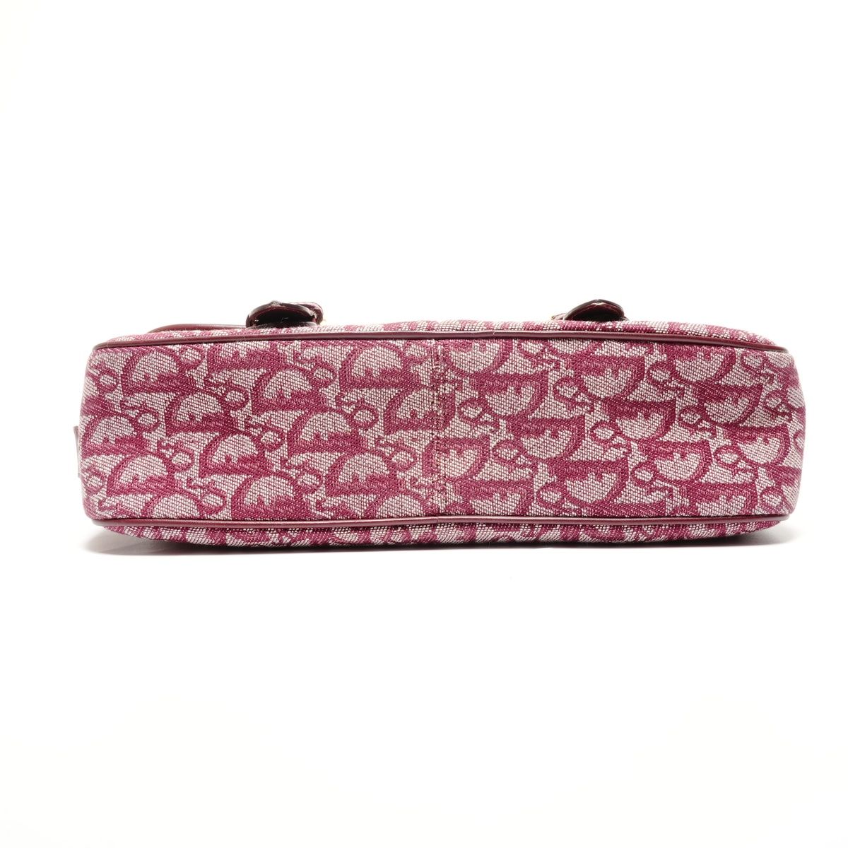 Dior Shoulder Bag Trotter Canvas Messenger — view 7