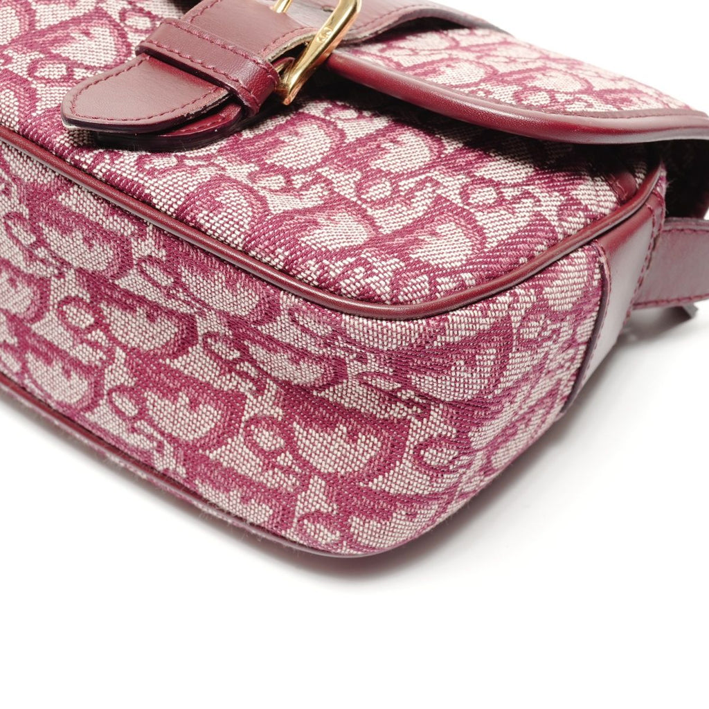 Dior Shoulder Bag Trotter Canvas Messenger — view 6