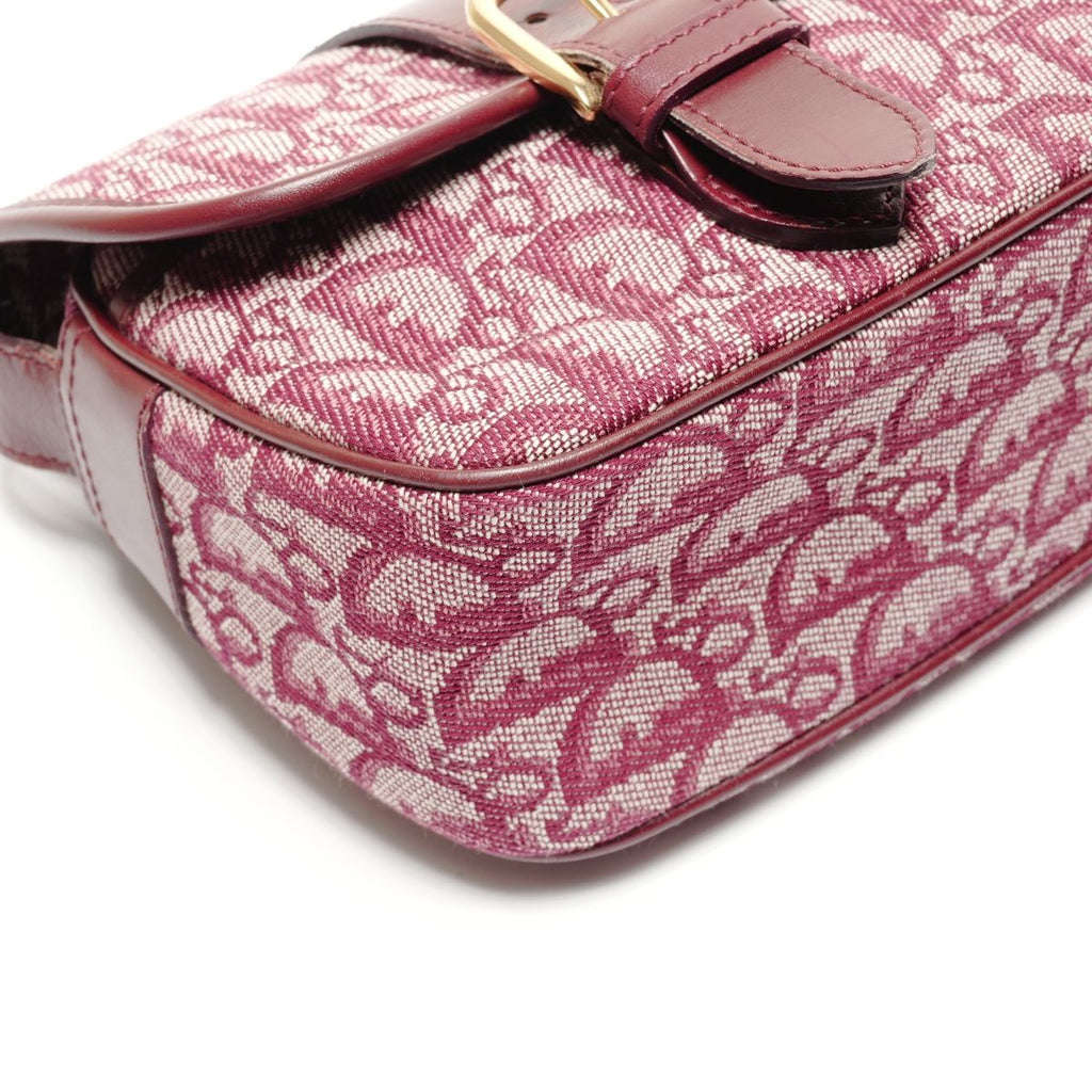 Dior Shoulder Bag Trotter Canvas Messenger — view 5
