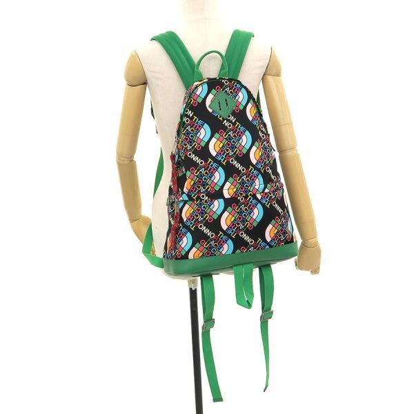 Gucci North Face Backpack — view 9