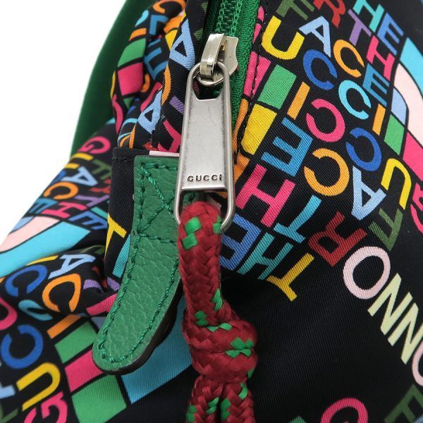 Gucci North Face Backpack — view 6
