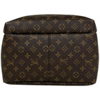 Louis Vuitton Apollo Backpack Monogram Brown Blue — view 5