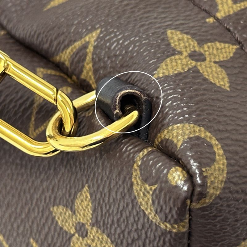 Louis Vuitton Monogram Backpack Palm Springs Mini Brown Black Compact — view 9