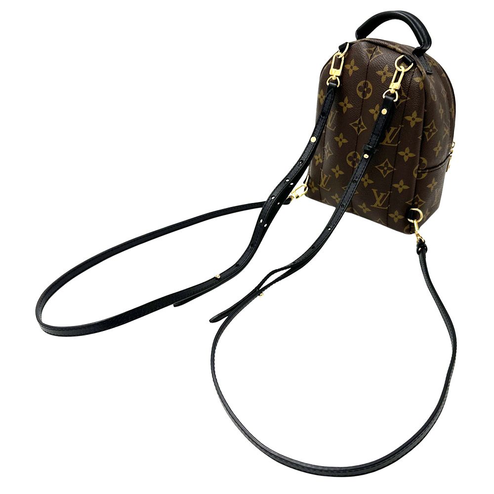 Louis Vuitton Monogram Backpack Palm Springs Mini Brown Black Compact — view 6