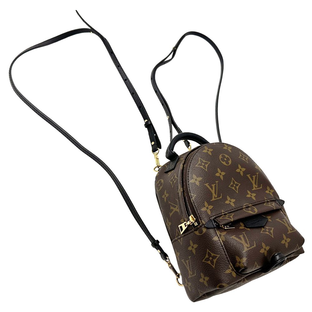 Louis Vuitton Monogram Backpack Palm Springs Mini Brown Black Compact — view 7