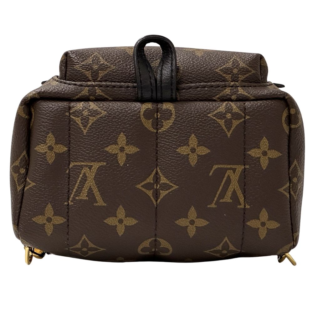 Louis Vuitton Monogram Backpack Palm Springs Mini Brown Black Compact — view 3