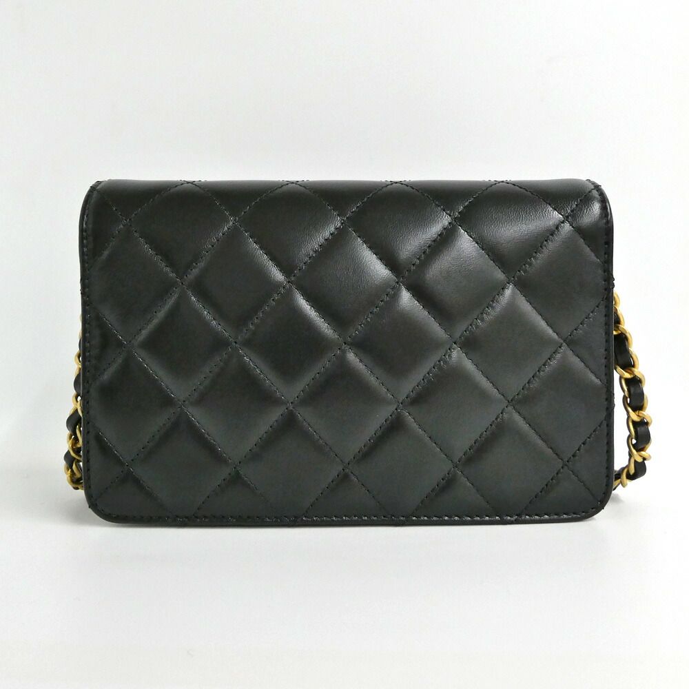 Chanel Evening Quilted Chain Shoulder Bag Cruise Collection — view 2