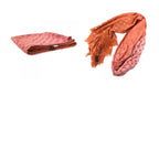 Louis Vuitton Shawl Etole Monogram Sunrise Orange Scarf — view 9