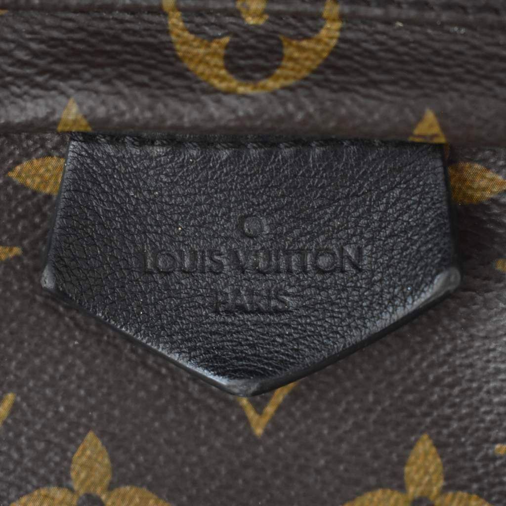 Louis Vuitton Palm Springs Backpack PM Monogram Brown — view 7