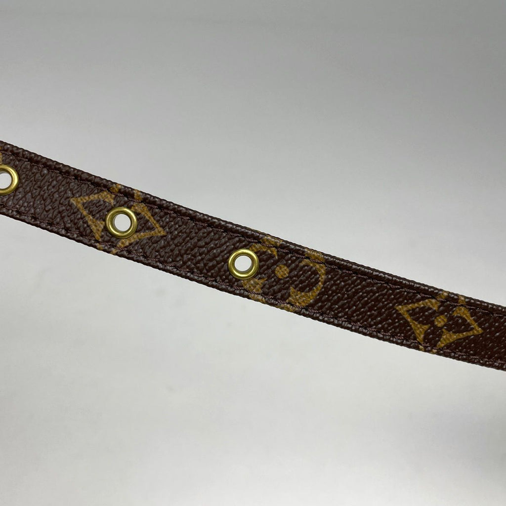 Louis Vuitton Amazon Shoulder Bag Monogram Brown — view 6