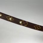 Louis Vuitton Amazon Shoulder Bag Monogram Brown — view 6