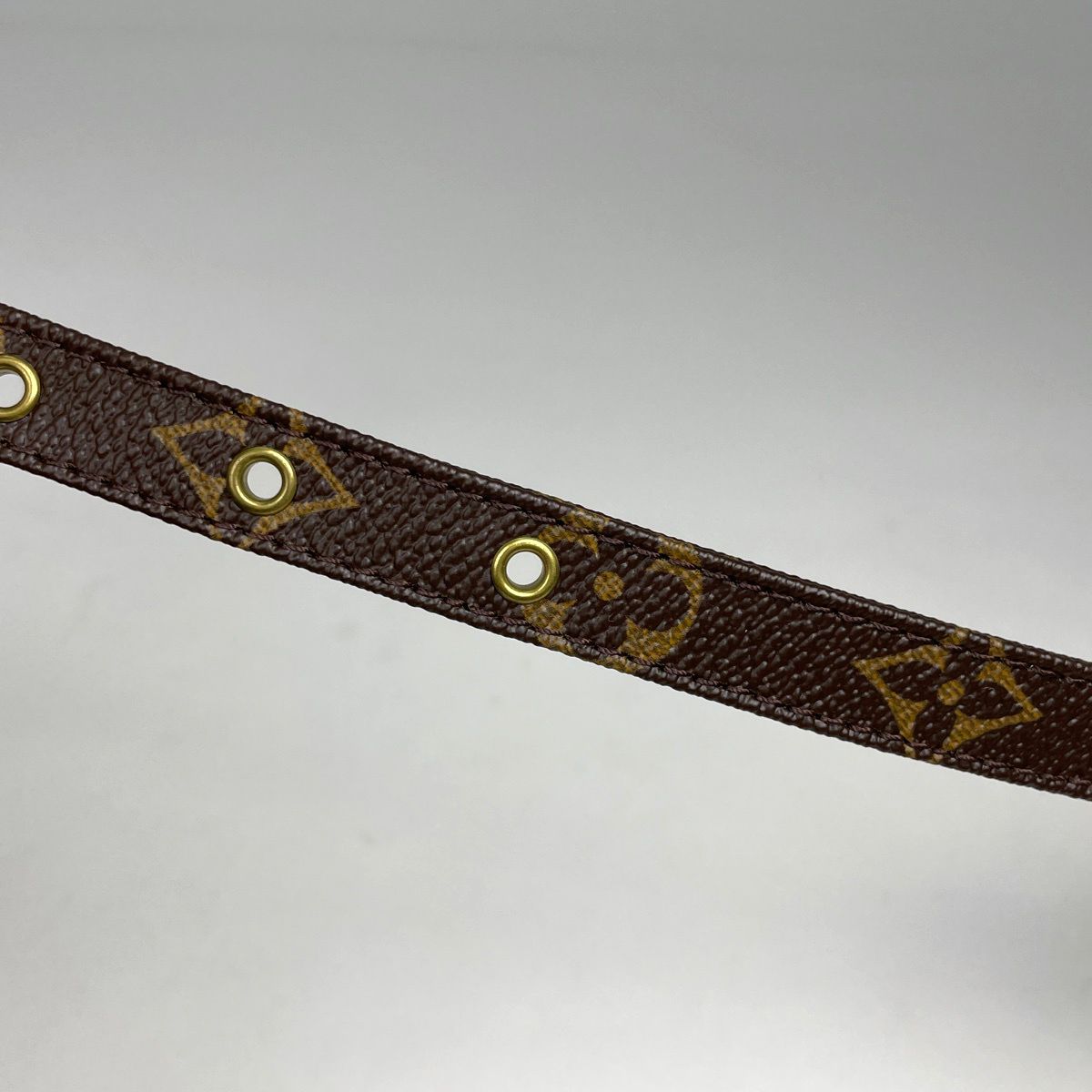 Louis Vuitton Amazon Shoulder Bag Monogram Brown — view 6