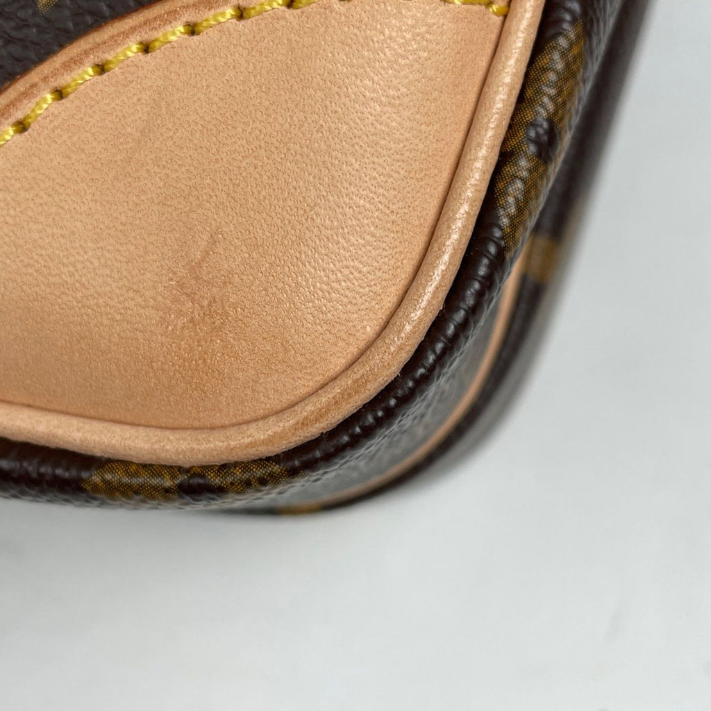 Louis Vuitton Amazon Shoulder Bag Monogram Brown — view 3
