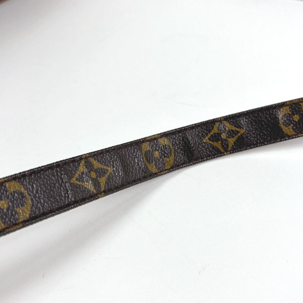 Louis Vuitton Nile Shoulder Bag Monogram Brown — view 6