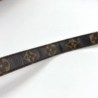 Louis Vuitton Nile Shoulder Bag Monogram Brown — view 6