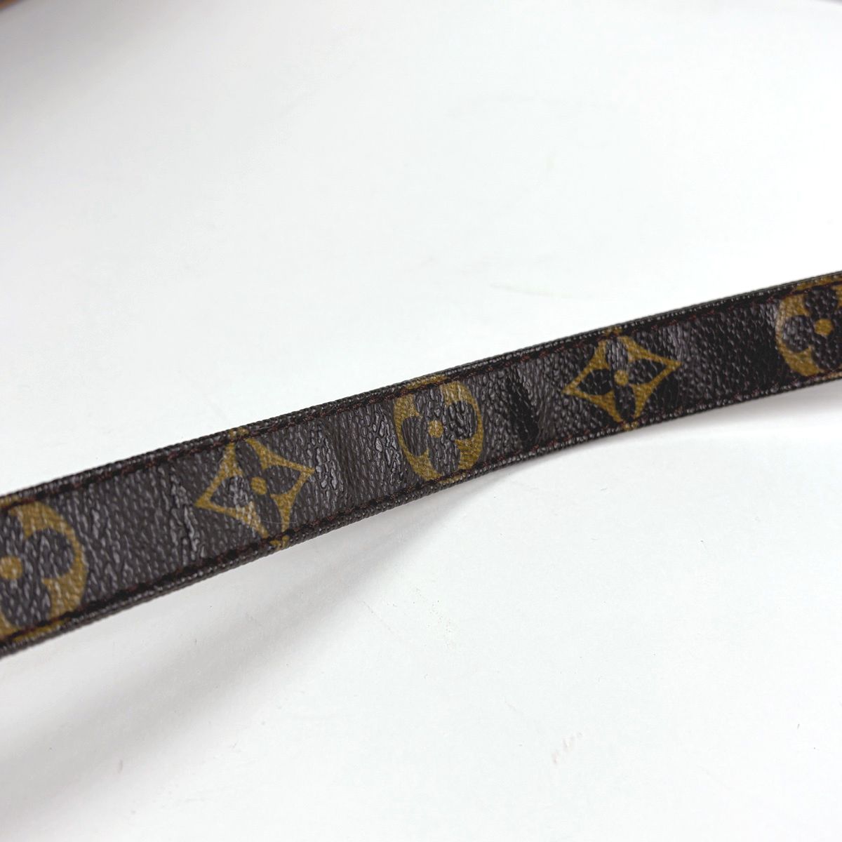 Louis Vuitton Nile Shoulder Bag Monogram Brown — view 6
