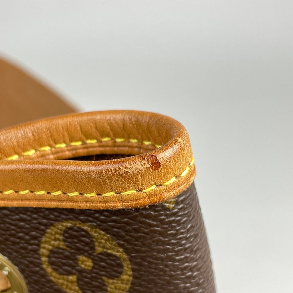 Louis Vuitton Montsouris GM Backpack Monogram Brown — view 6