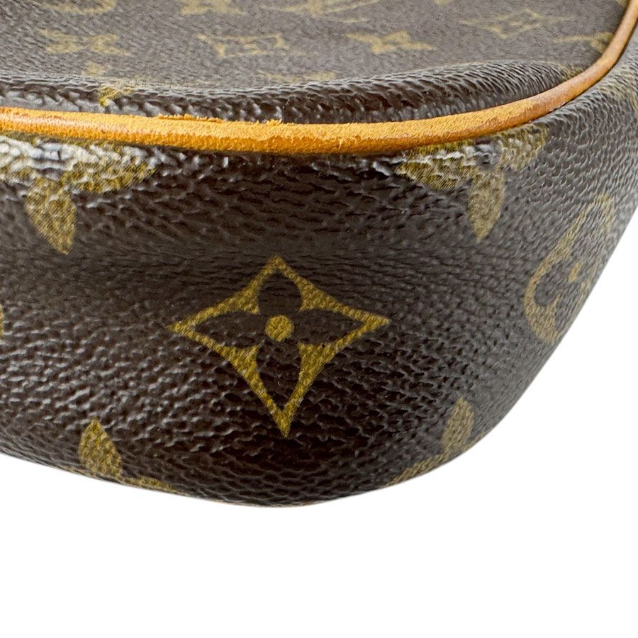 Louis Vuitton Belt Bag Pochette Gange — view 9