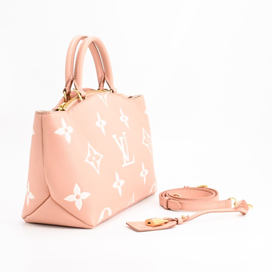 Louis Vuitton Handbag Petit Palais PM — view 2