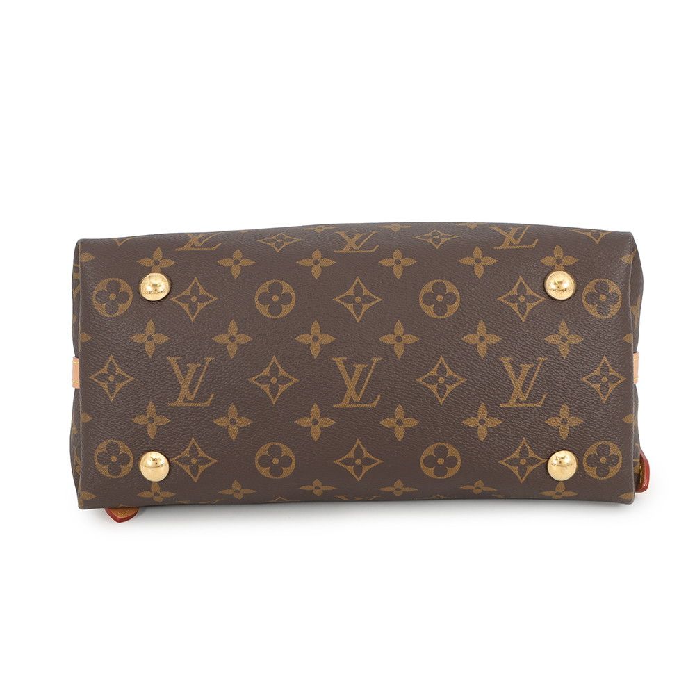 Louis Vuitton Shoulder Bag Monogram Carryall NM PM — view 3