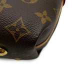 Louis Vuitton Shoulder Bag Monogram Carryall NM PM — view 7