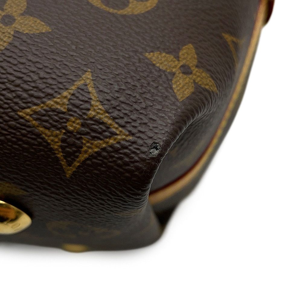 Louis Vuitton Shoulder Bag Monogram Carryall NM PM — view 7