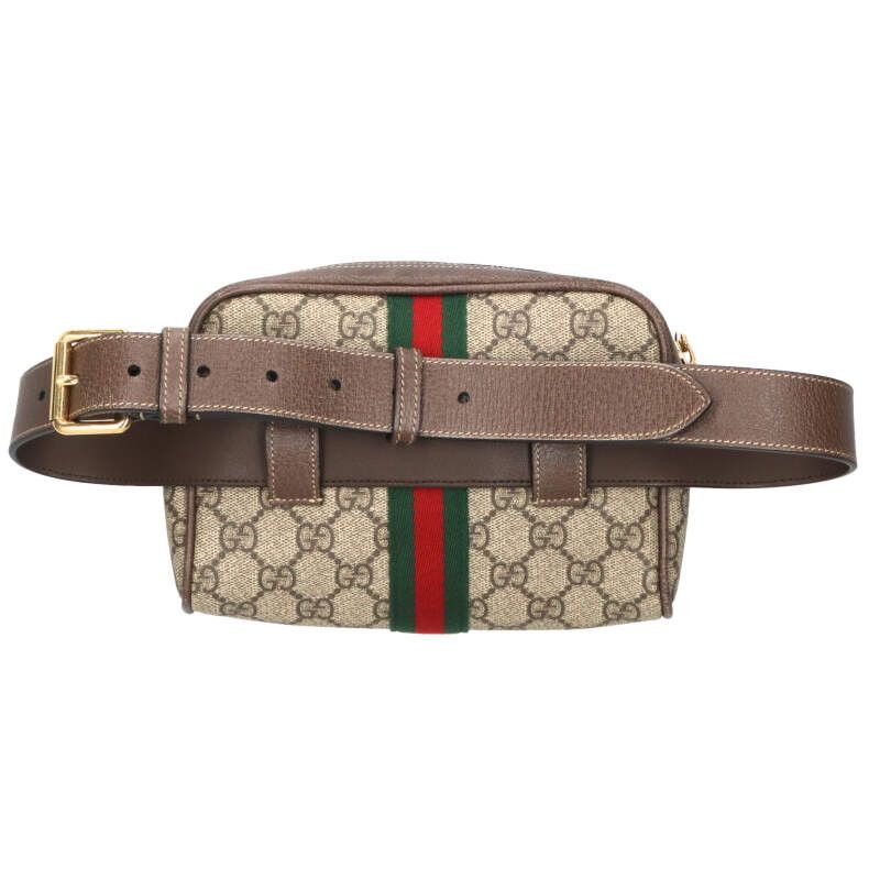 Gucci GG Canvas Leather Belt Bag — view 2