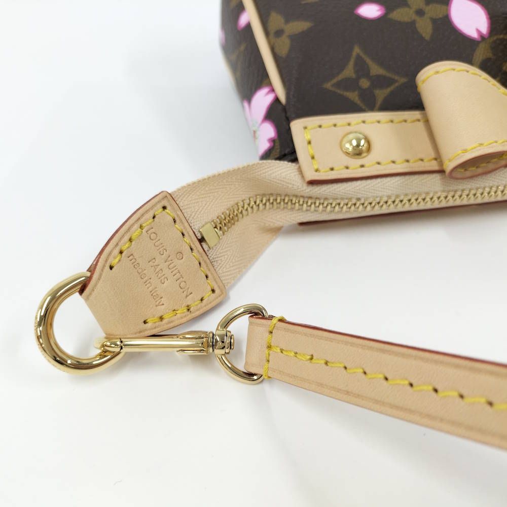 Louis Vuitton Pochette Accessoire Handbag Takashi Murakami Collaboration — view 6