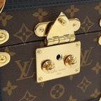 Louis Vuitton Music Box Vivienne Monogram Shoulder Bag — view 7