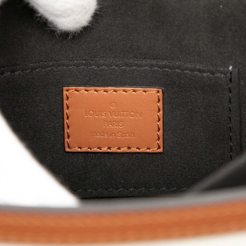 Louis Vuitton Dauphine Mini Shoulder Bag Brown Multicolor Leather — view 5