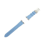 Hermes Simple Tour Kilim Blue Pastel Silver Apple Watch Strap — view 2