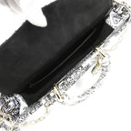 Dior Plan de Paris Lady D Joy Bag — view 8