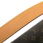 Louis Vuitton Monogram Diane Messenger Bag — view 3