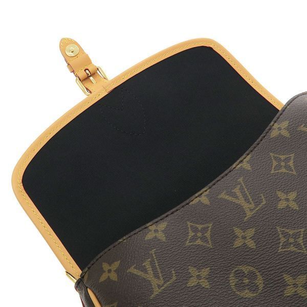 Louis Vuitton Monogram Diane Messenger Bag — view 7