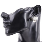 Dior Trotter Metal Silver Earrings — view 2
