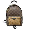 Louis Vuitton Palm Springs PM Backpack Monogram Canvas Brown