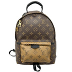 Louis Vuitton Palm Springs PM Backpack Monogram Canvas Brown