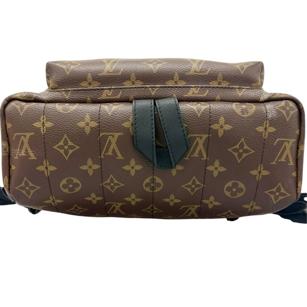 Louis Vuitton Palm Springs MM Backpack Monogram Canvas Brown — view 4