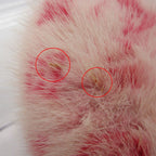 Louis Vuitton Mule LV Suit Line Slippers Monogram Shoes Mink Pink — view 8