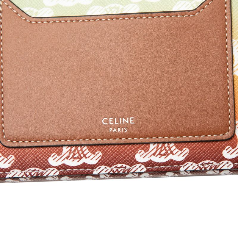 Celine Triomphe Horizontal Pouch Crossbody Shoulder Bag Brown Multicolor Leather — view 4