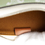 Celine Triomphe Horizontal Pouch Crossbody Shoulder Bag Brown Multicolor Leather — view 6