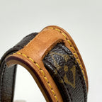 Louis Vuitton Amazon Shoulder Bag Monogram Brown — view 7