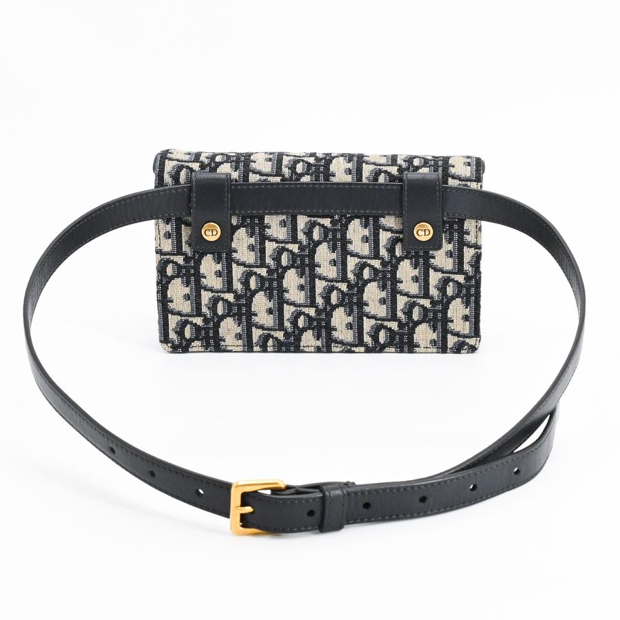 Dior Belt Bag Saddle — view 3