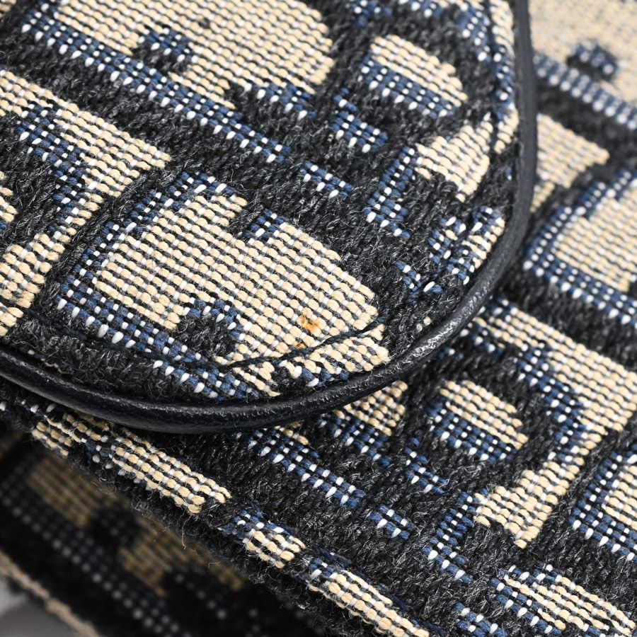 Dior Belt Bag Saddle — view 9