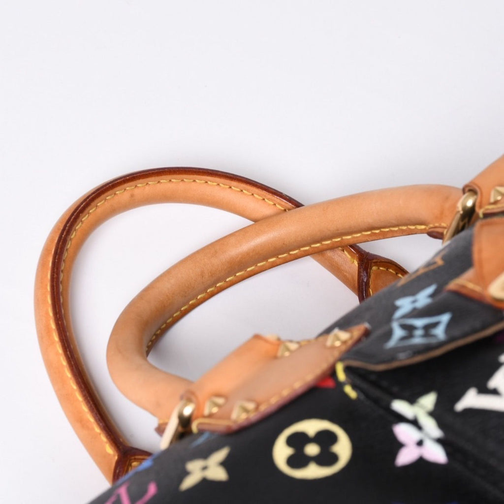 Louis Vuitton Speedy 30 Handbag Monogram Multicolor Black Gold Takashi Murakami — view 4