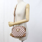 Celine Triomphe Crossbody Shoulder Bag Canvas — view 9